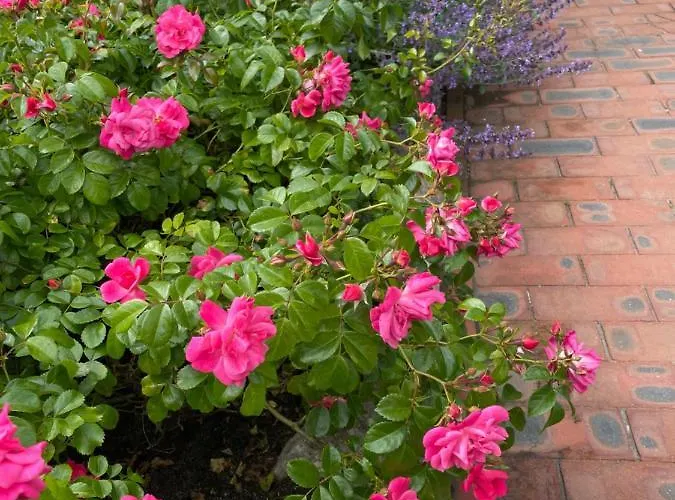 Und Gaestehaus Gute Quelle *